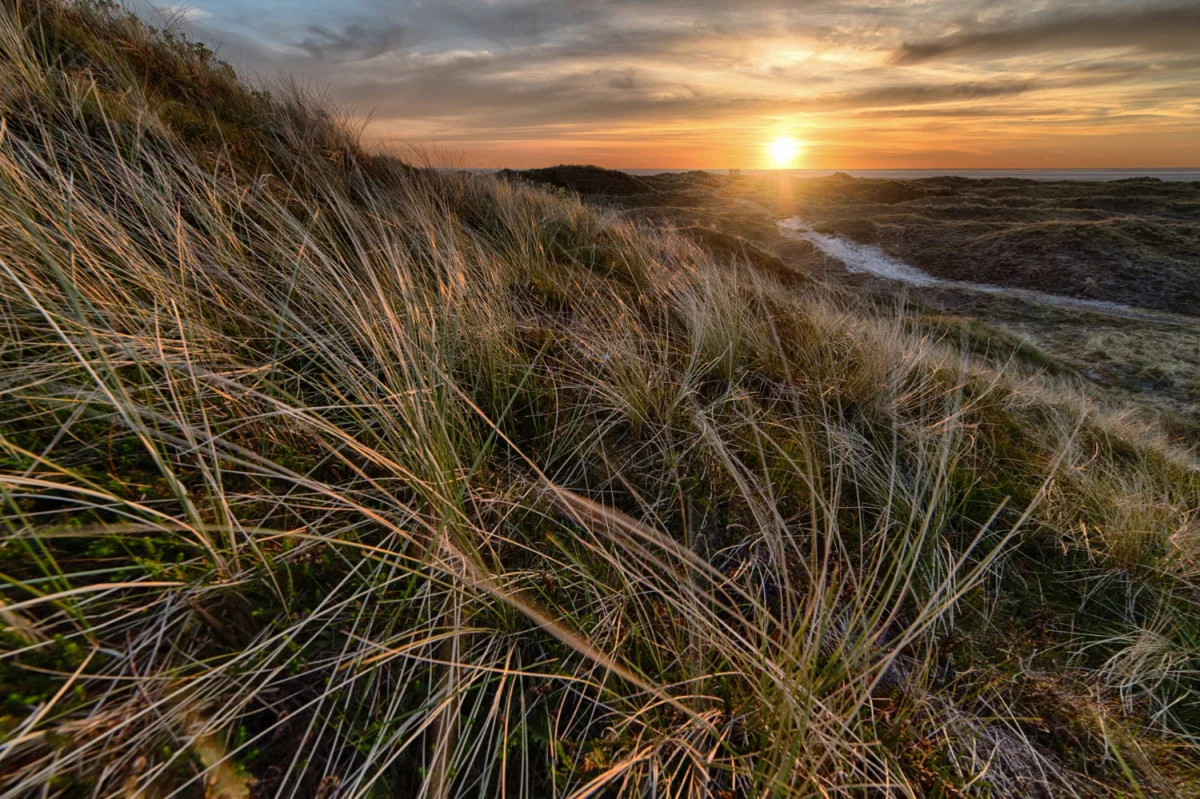 Nowości w 2025 jak  urządzić kawalerkę